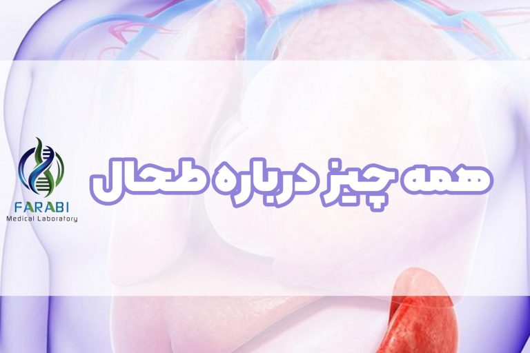بنر طحال