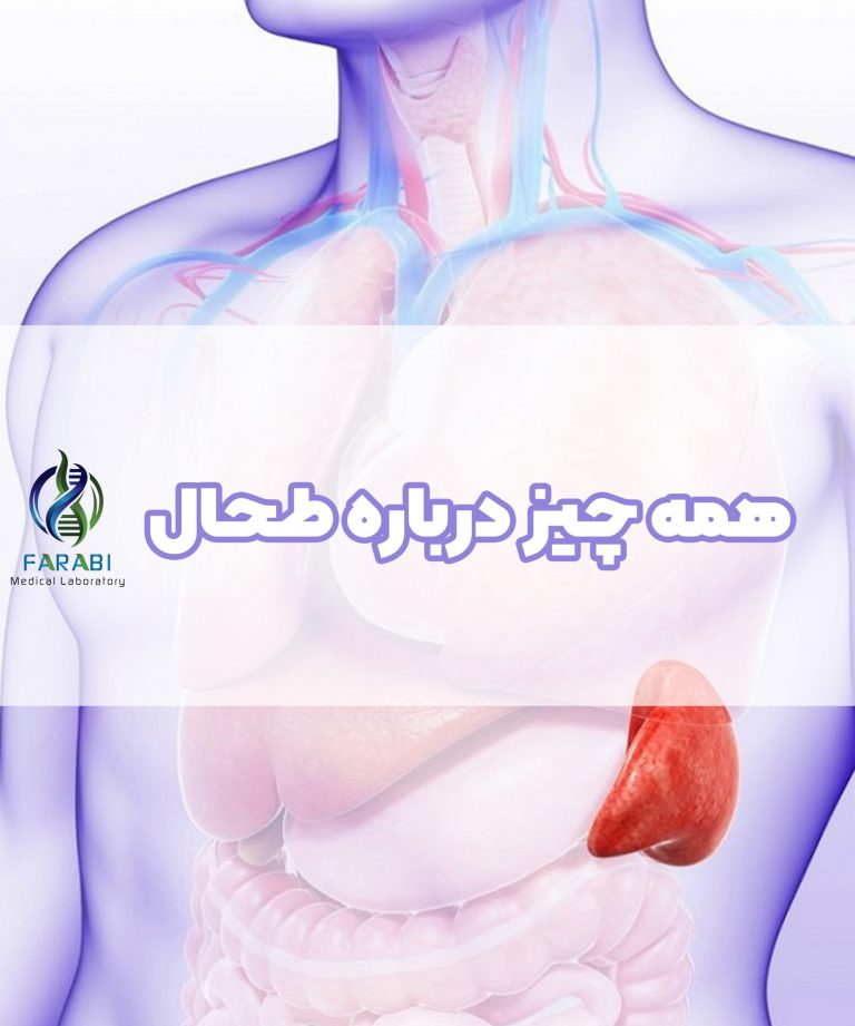 بنر طحال